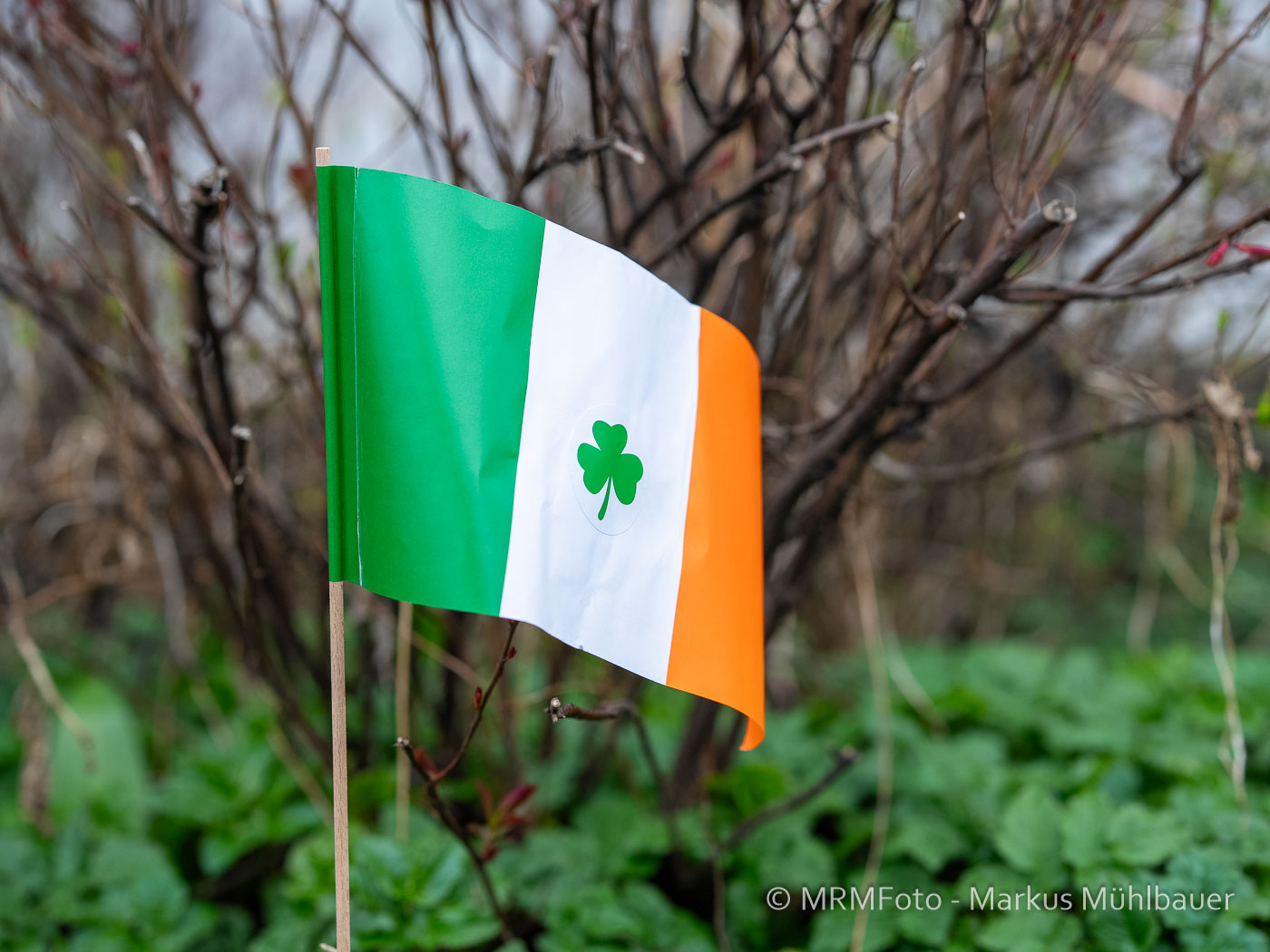St. Patrick’s Day Parade 2025