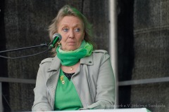 St.-Patrick´s-Day-2024-Tag-2-363-von-385