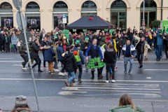 St.-Patricks-Day-Muenchen-2023-239-von-245