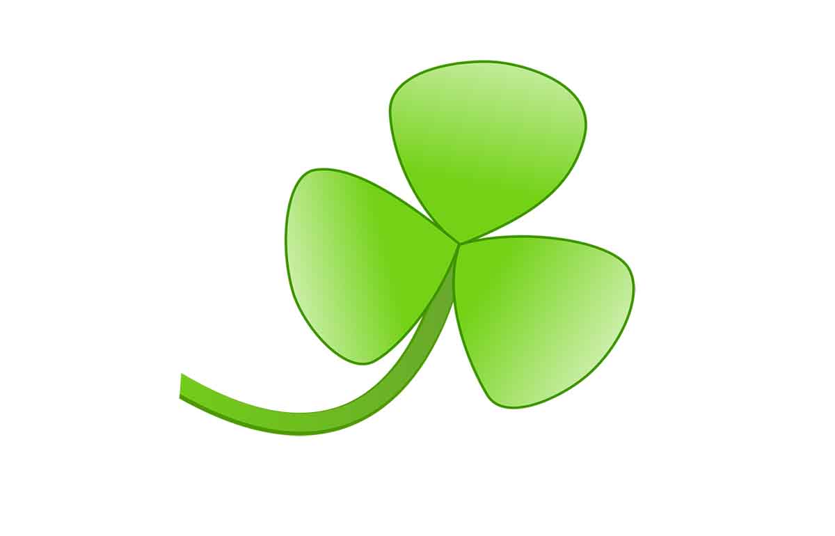 Newsletter Anmeldung